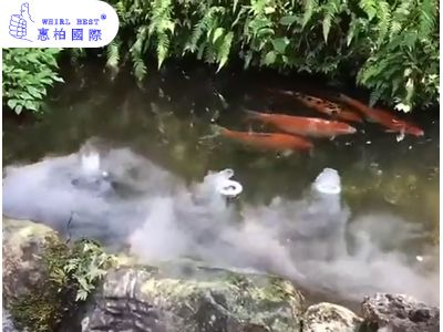 惠柏超音波负离子造景雾化器 假山鱼池景观雾化头